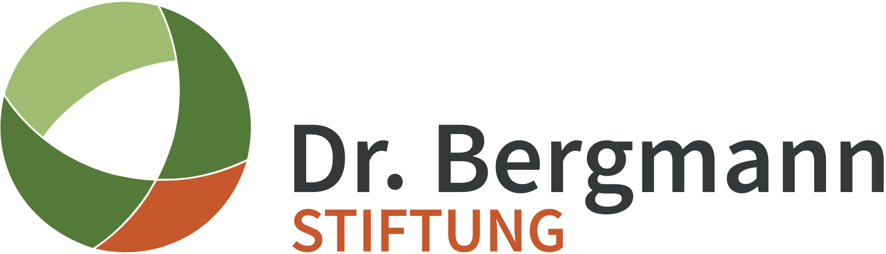 Das Logo der Dr. Bergmann Stiftung. Es behinhaltet einen Kreis an der linken Seite der neben sich einen Schriftzug Dr. Bergmann Stiftung zeigt.