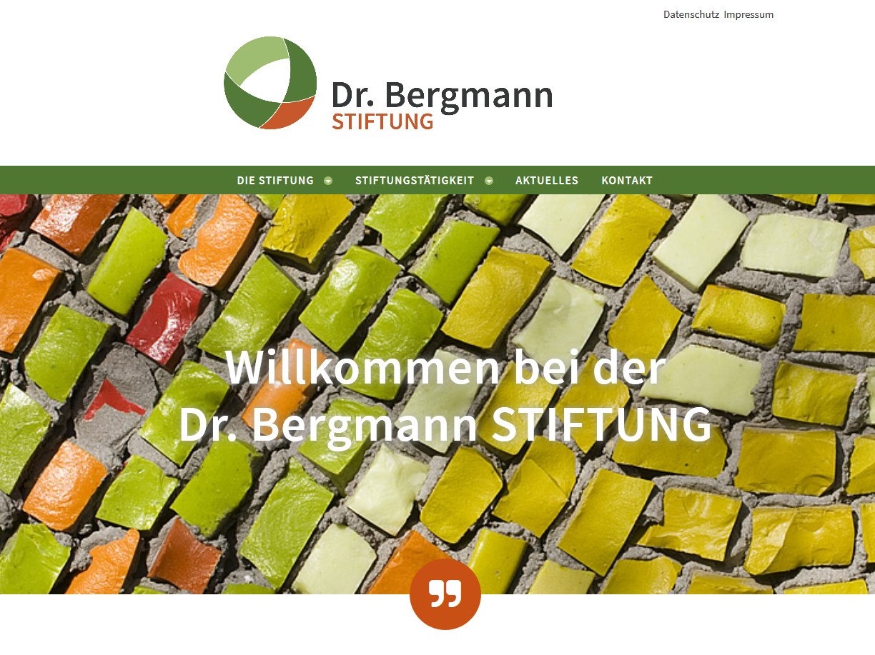 Screenshot der Startseite der Website der Dr. Bergmann Stiftung.