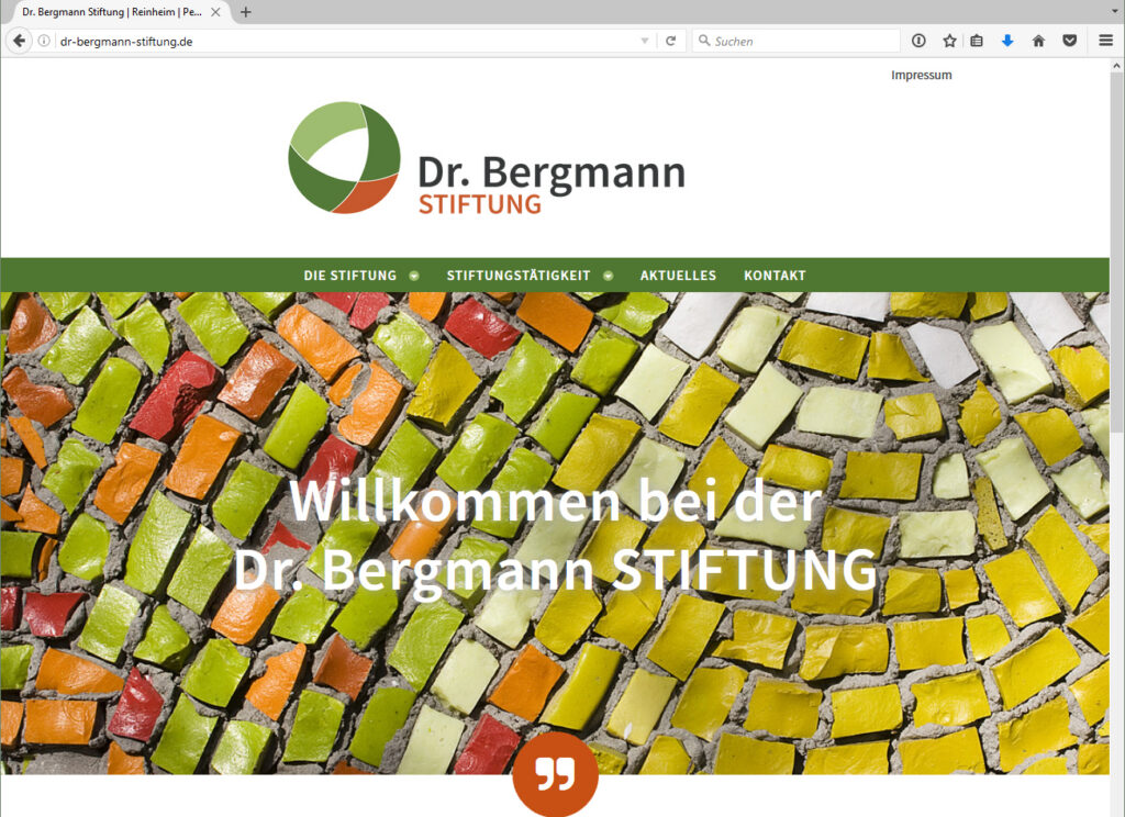 Screenshot der Website der Dr. Bergmann Stiftung.